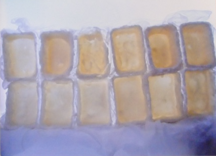 Window 1