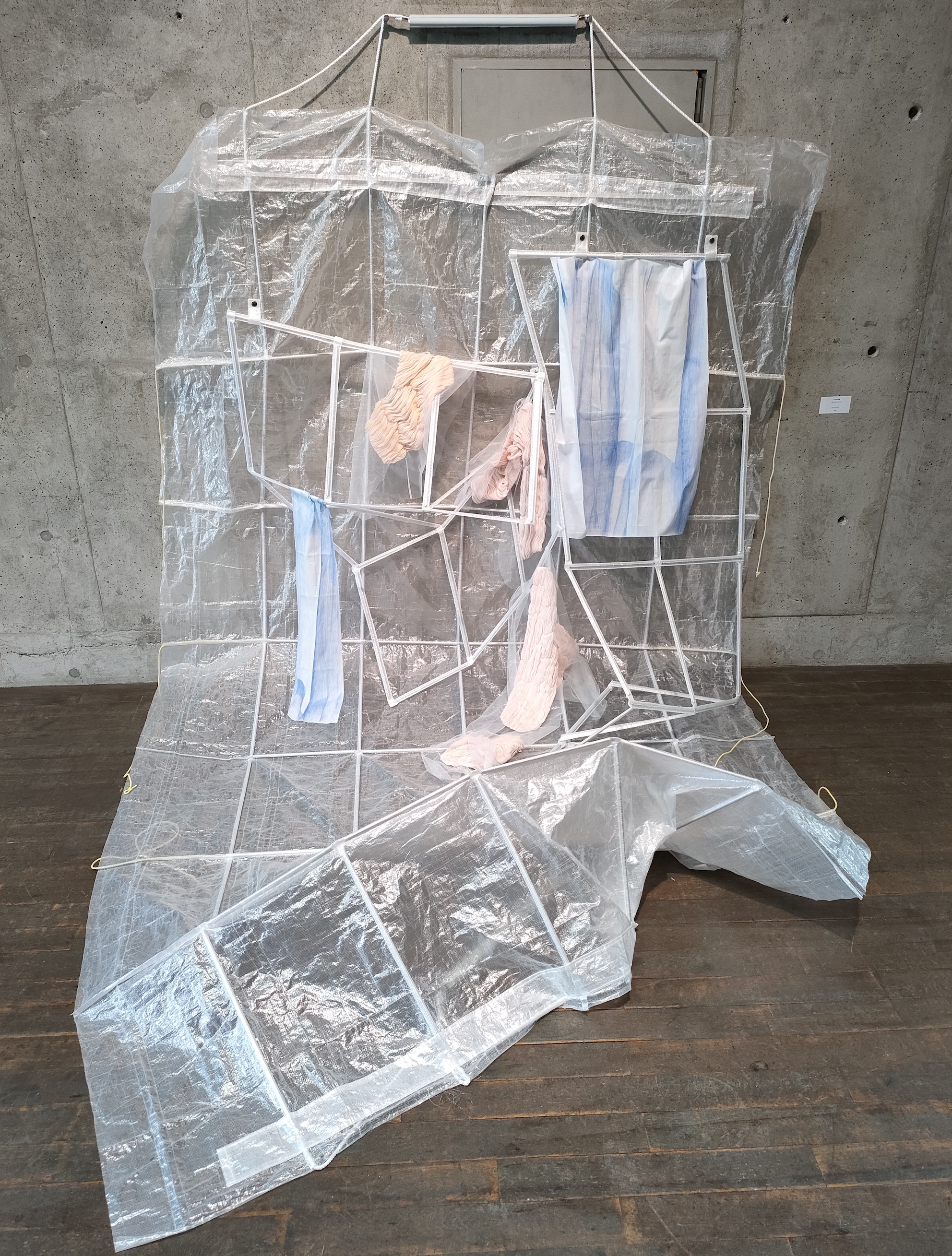 In a bag 3